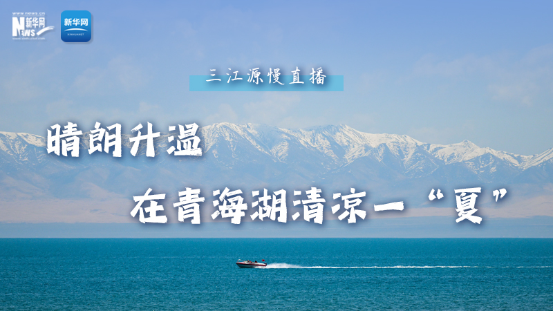 大美中國丨三江源慢直播——在青海湖清涼一“夏”