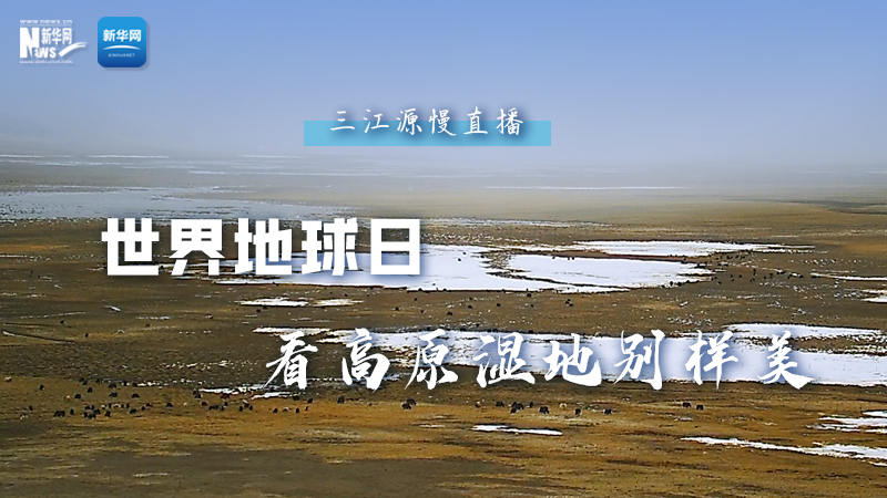 大美中國丨世界地球日，看高原濕地別樣美